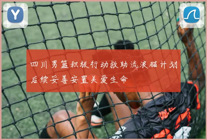 四川男篮积极行动救助流浪猫计划后续妥善安置关爱生命