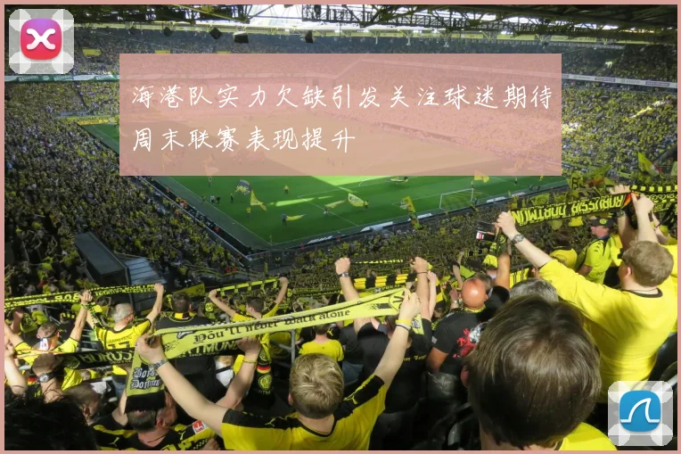 海港队实力欠缺引发关注球迷期待周末联赛表现提升