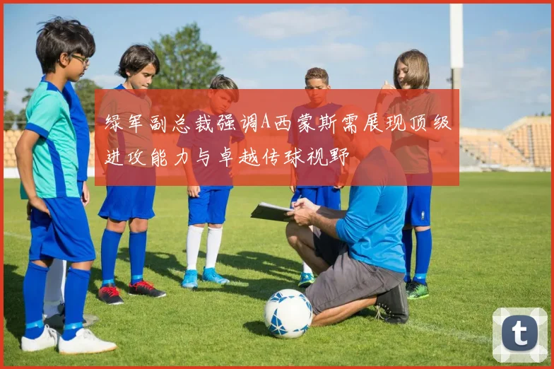 绿军副总裁强调A西蒙斯需展现顶级进攻能力与卓越传球视野